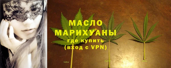 хмурый Аркадак