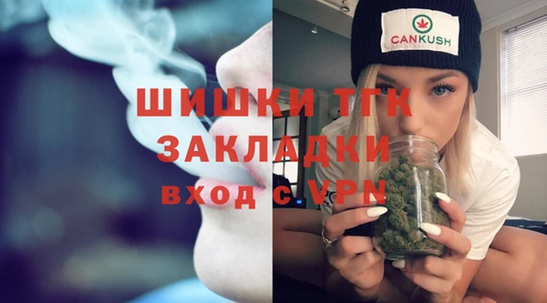 хмурый Аркадак