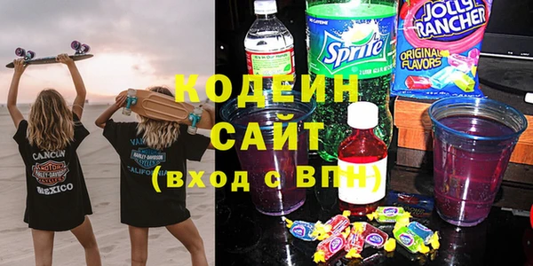 хмурый Аркадак
