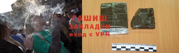 хмурый Аркадак