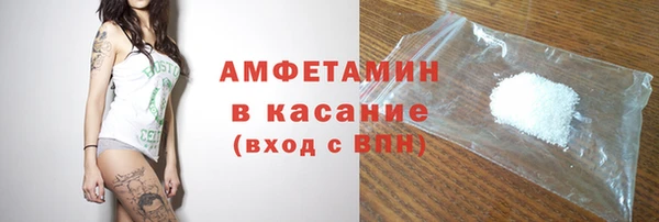 хмурый Аркадак
