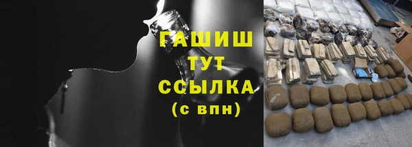 хмурый Аркадак