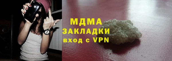 хмурый Аркадак