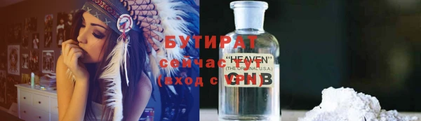 хмурый Аркадак