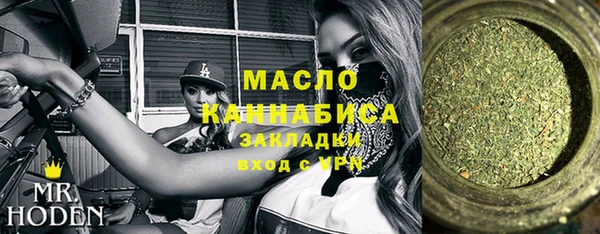 хмурый Аркадак