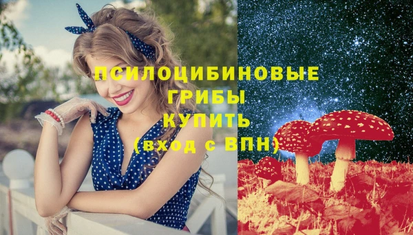 МДПВ Армянск