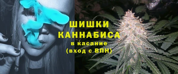 хмурый Аркадак