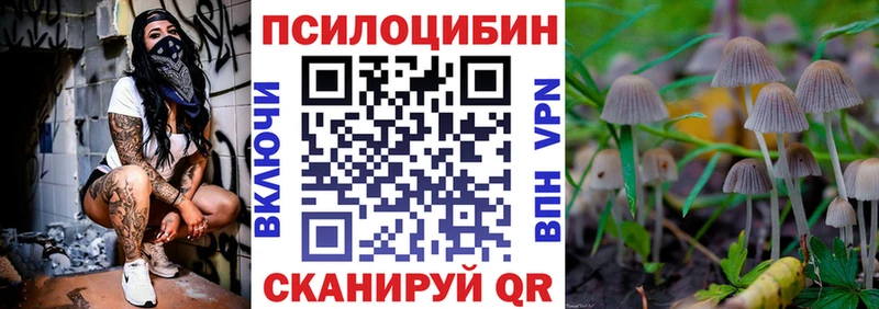 Псилоцибиновые грибы мицелий  Приморско-Ахтарск 